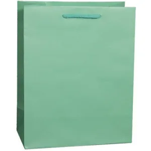 Aqua Matte Rope Handle Euro-Tote Shopping Bags - 16.0 x 6.0 x 12.0