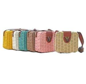 Beach Box Straw Woven Shoulder Bag