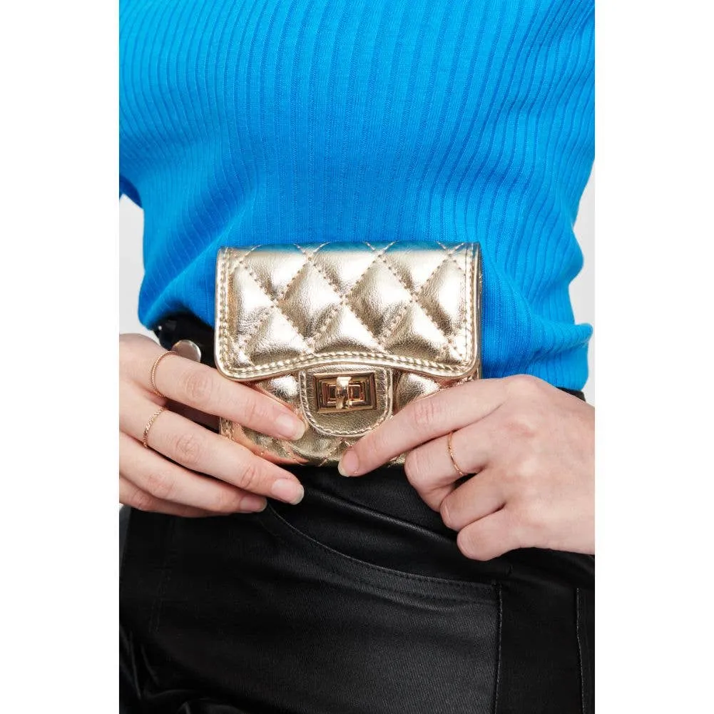 Shantel Wallet: Gold