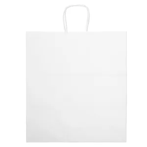 Wholesale Brute-White Paper Bag - 9202